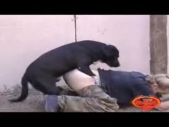 MILF have dog sex and receives dog creampie